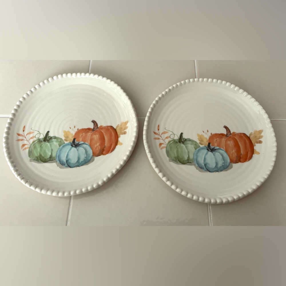 Set of Two Pumpkin Design Ceramic Salad Plates